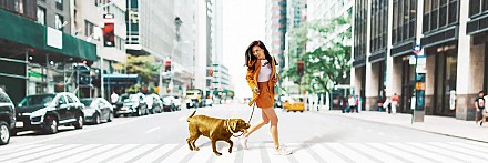 Ảnh đại diện FWD Phụ nữ hiện đại